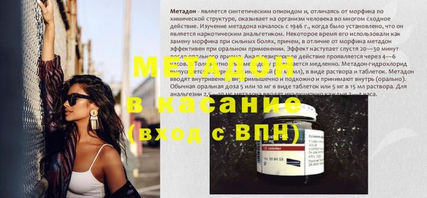 индика Алексин