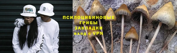 индика Алексин