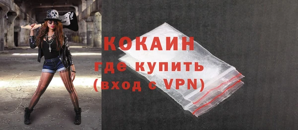индика Алексин